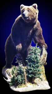 brown_bear_2